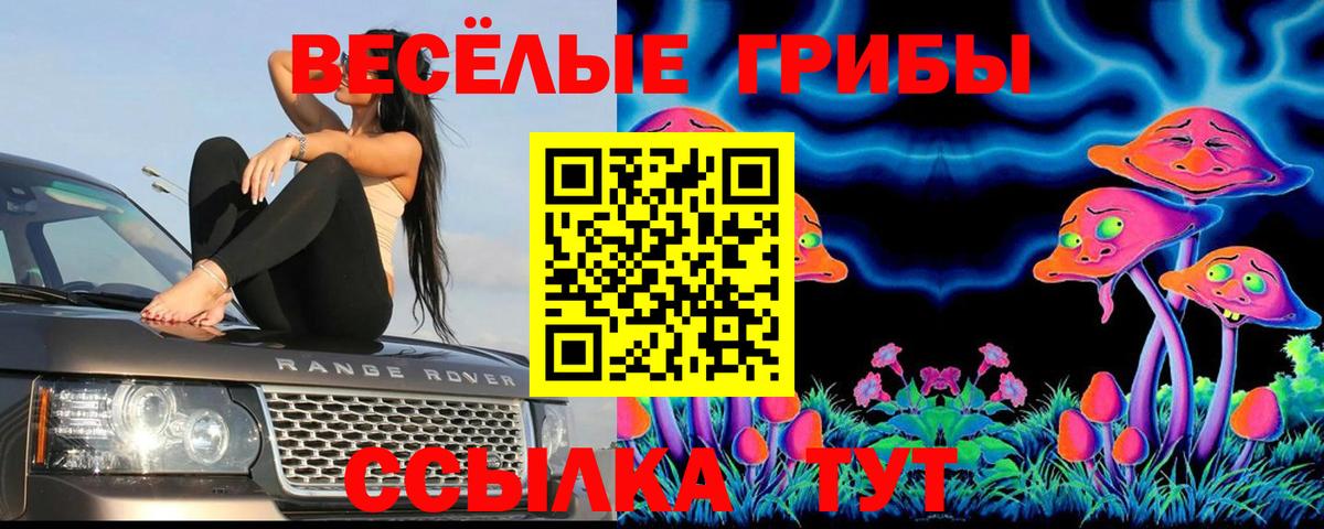 Псилоцибиновые грибы прущие грибы  Вход с VPN  Знаменск 