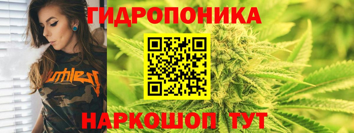 Конопля OG Kush  Марихуана ГИДРОПОН  Знаменск  Канабис SATIVA & INDICA  Бошки Шишки план  Вход с VPN 